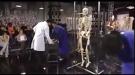 德国解剖学入门 Anatomy For Beginners--在线播放学习 - 魔方智库