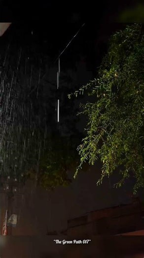 🖤||RELATABLE||🖤🍃 #NightVibes #Aesthetic #Nature"