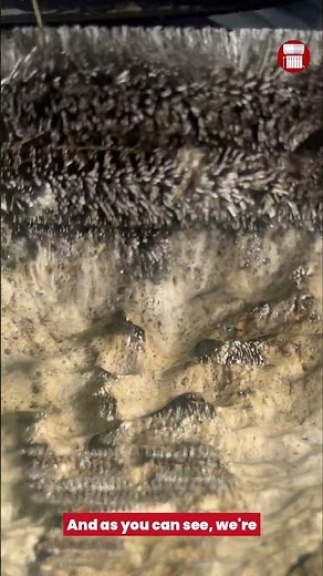 You Won’t Believe What Came Out of This AC Coil! | How to Clean a Condenser Coil (HVAC Pro Tips)