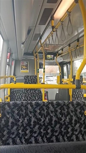 Bus Berlin | Ansage für X83 Springbergerstr.