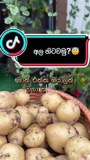 හැමෝටම වගේ Weekend වැනිම දැක්කාට සූදානම් වෙන්න