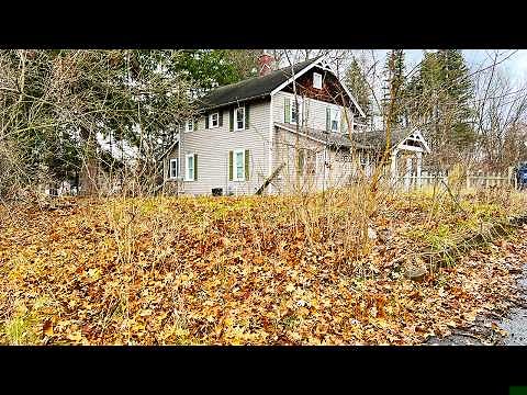 Handicapped family STUNNED. NOBODY would HELP them with their Overgrown Lawn, SO I DID FOR FREE!!!