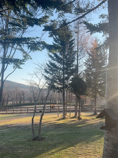 小宵こなん / Konan Koyoi on Instagram: "love natural🌲🪵"