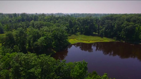 Search for bear that mauled Wisconsin woman ends