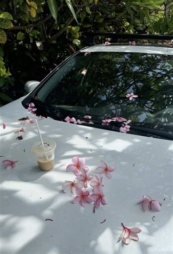 Explorando el Metro Life en Berry Avenue