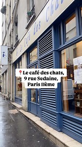 📍9 rue sedaine 11ème arrondissement Paris #catcafe #lecafedeschats #paris #catlover #amoureuxdeschats #restaurant #chill #cat #cute #cafedeschats #chat | Le café des chats