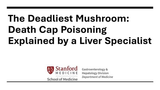 The Deadliest Mushroom: Death Cap Poisoning Explained by Stanford Liver Specialists