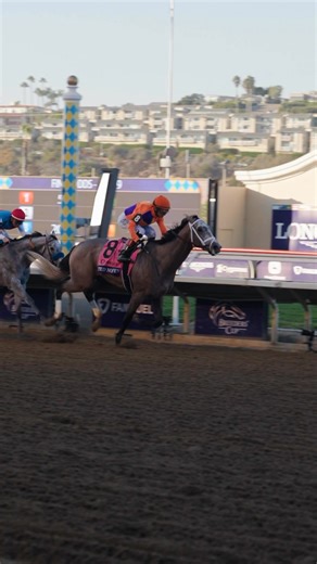 111K views · 1.9K reactions | What a win in the Breeders’ Cup Juvenile for Ted Noffey!  | Kentucky Derby | Facebook