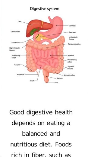 Healthy Digestion Tips Using Everyday Foods | Gut Care Guide