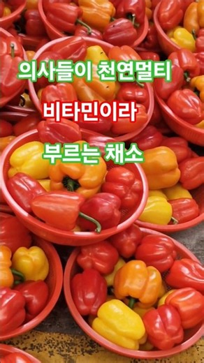 비타민C 베타카로틴 식이섬유