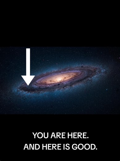 You are here. And here is good. #frenchcleat #dewalt #workbench #milkyway #tools