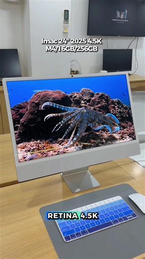 Discover the New iMac 24