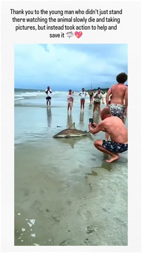 deny | The post highlights a young man's solo effort to remove a fishing hook from a distressed blacktip shark on a Florida beach, emphasising his... | Instagram