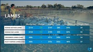 4 comments | Check out this week's Sheep Market Report, bought to you...