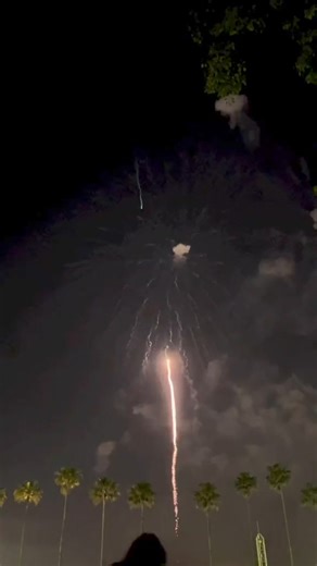 2.6K views · 113 reactions | 309_Huge Firework Shell #feuerwerk #fireworks #firework #fuegosartificiales #fireworksshell #12inchs | Firework Show | Facebook