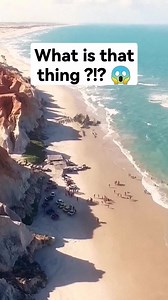 Giant skeleton found on a beach. | UFO Aliens Ovni X