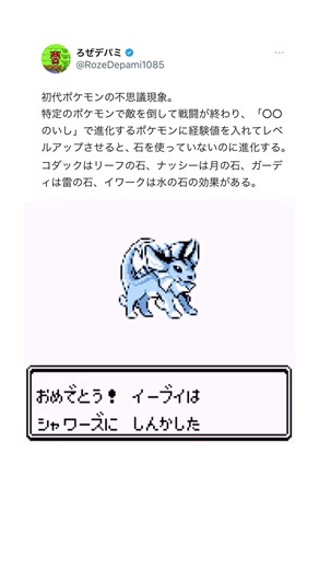 ポケモン・進化の石と内部コードの謎