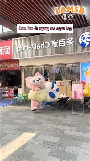 Thánh nhọ 🤣🤣 #shorts #haihuoc #funny #giaitri