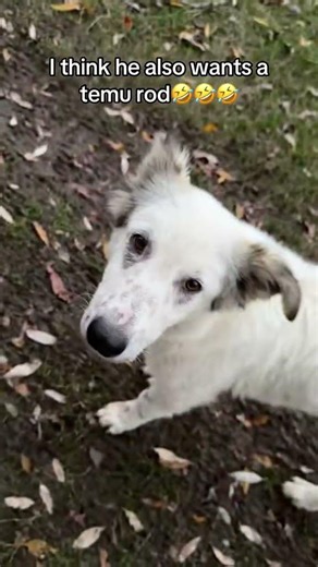 30% Discount code on all products: ali473831 #fishingequipment #bassfishing #temu #fishing #carp