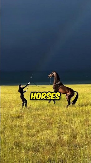 Girl Trains Wild Horses 🤯