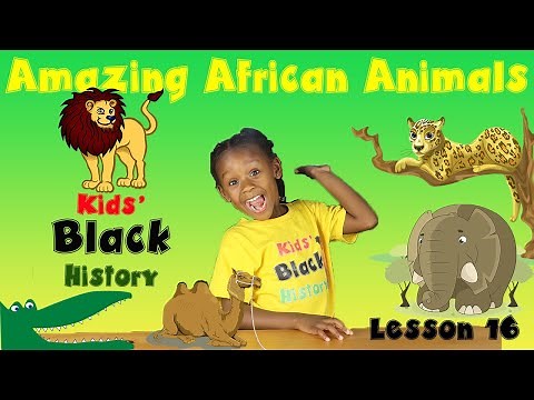 Learn Fun Facts about African Animals