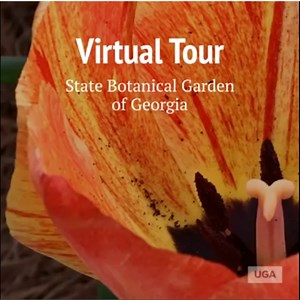 Virtual Tour of the Garden - State Botanical Garden University of Georgia