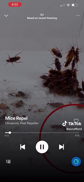 Spotify recommending the hits 🔥 #spotify #spotifyai #spotifyaidj #grantwilliams #music