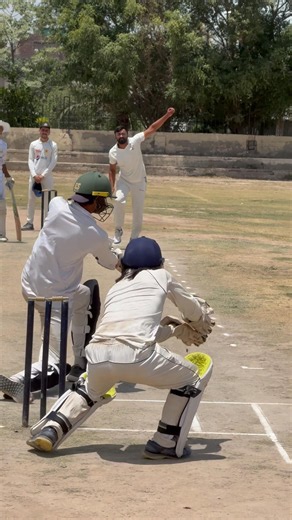 Power with Style! #cricket #hardballmatch #cricketbatting #hardballbatting