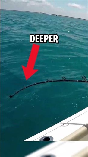 They tried to CATCH a MONSTER fish… and snapped their ROD