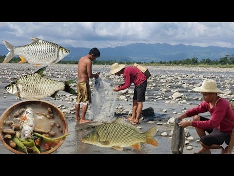 Catch and Cook Carpa Fish | Slice of My Life in the Countryside
