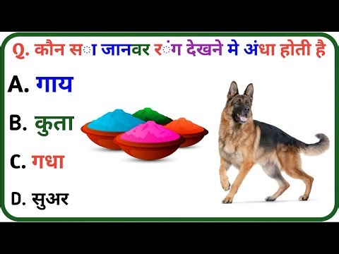 GK reasoning question paper || GK hindi quiz and answer sath || gk exam question || #gkquestions