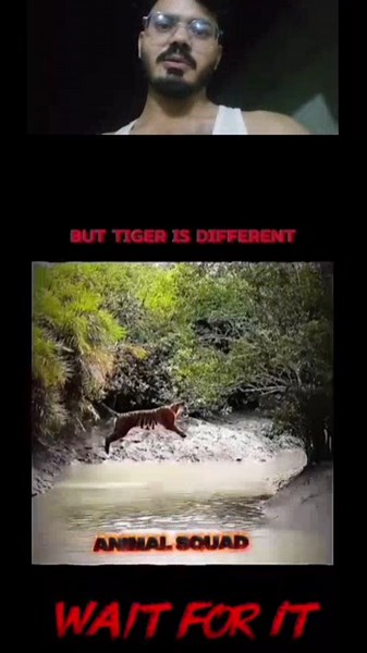 Wait For It... Tiger Is On Another Level!💀