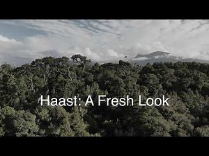 Haast: A West Coast Gem