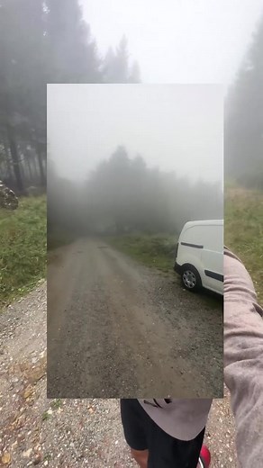 C’était quoi ce bruit 🥲 #forest #vanlife #humour #nature #histoire | huco