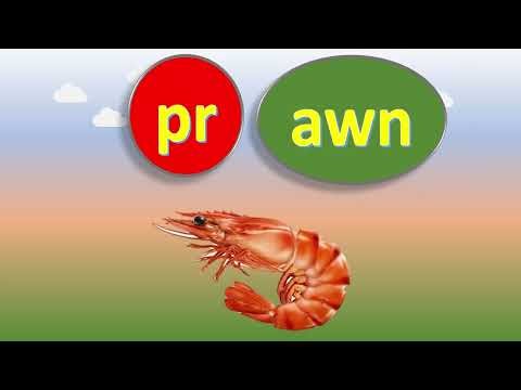 consonant blend "pr" | word family "pr" | pr words | pr blend words | #phonics #english