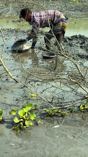Amazing village fish in Mud Water #reels #fishing #fishvideo #handfishing | Bengali Fishing bd | Facebook