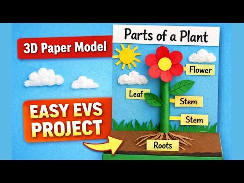 Parts of a Plant – 3D Paper Model | Easy EVS Project | Science TLM