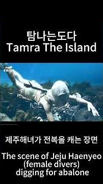 Meet Jeju Haenyeo Culture in Old Kdrama | Tamra The Island