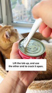 83K views · 72 reactions | Get this Wet Food Helper today to make feeding canned food effortlessly! ✨ | Cuddles & Meow | Facebook