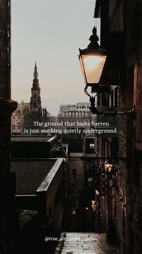 What appears dormant often holds the deepest growth.