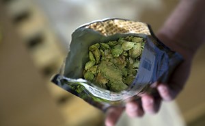 Do you know what a mash tun is? Inside the beer brewing process, step by step