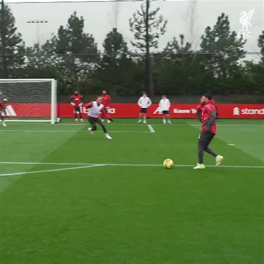 🎯⚽ | Liverpool FC