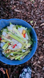 Add compost #bestcompost #composting #compostable #compost #vegetablegarden #backyardgarden #homegrown | GrowwithChea