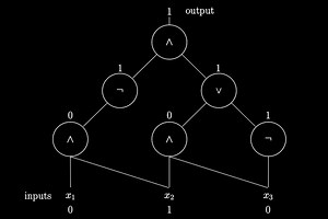 Les circuits booléens et la classe P/poly
