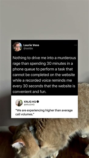 Spending 30 minutes in a phone queue