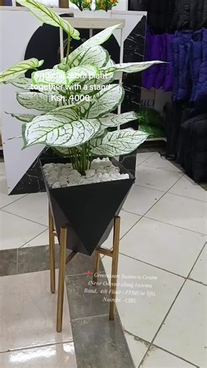 Artificial Plants Decor Kenya on TikTok