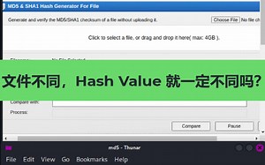 文件不同，Hash Value 就一定不同吗？什么是Hash Collision？