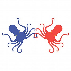 Colorful Octopus Icon Isolated on White Background. Stilized Logo...