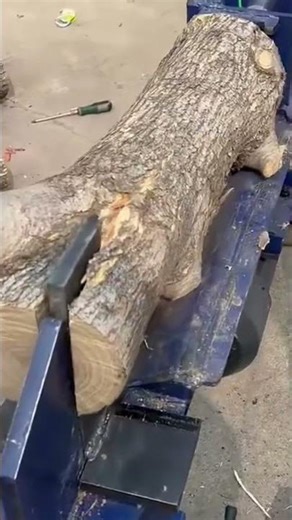 Hydraulic Log Splitter Crushing Thick Tree Trunk Effortlessly