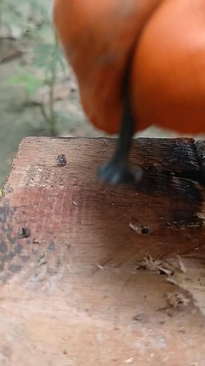 Aerosol lacquer diy use ♥️ | SN Tips 3